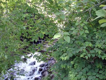 Occoquan River Falls