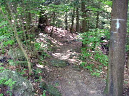 the beginning of the trail to Buttermilk Falls