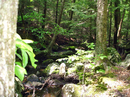 the trail to Buttermilk Falls