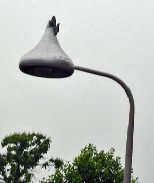 Hershey lightpole