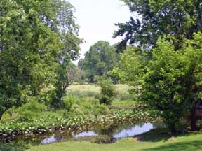 view from the two RV Gypsies yard