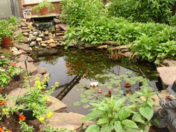 Butterfly gardens at Hershey Park