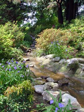 garden view