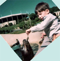 Brain Duquette feeding a seal