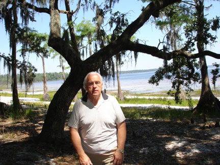 cypress trees at Lake Louisa