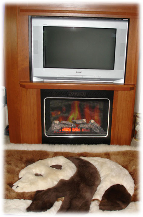 the fireplace in our RV
