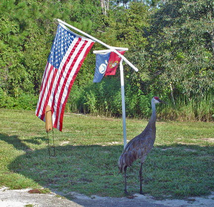 crane at the campsite of the two RV Gypsies