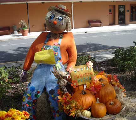 pumpkin patch scarecrow