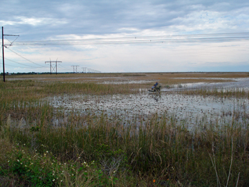 an airboat in the everglades