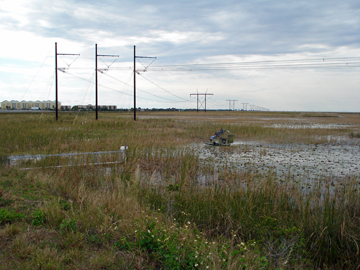 an airboat in the everglades