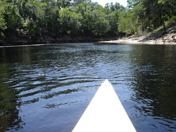 Suwannee River