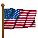 the USA flag