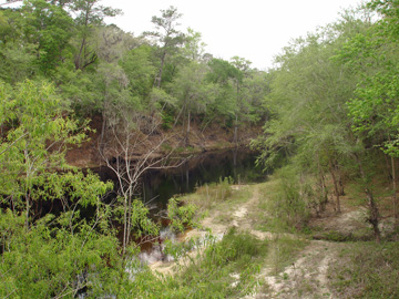 Suwannee River