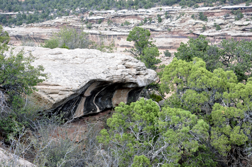  a grotto at Colorado National Monument