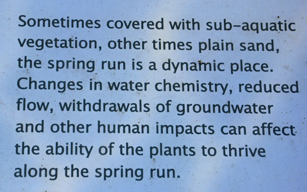 sign about the springs