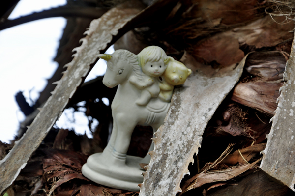 cherub in a tree 