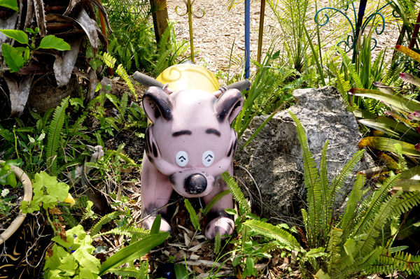 pig at at the bowling ball house at Whimzeyland