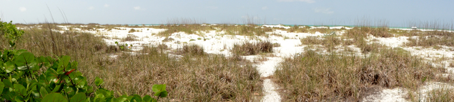 Anna Maria Island in Bradenton, FL