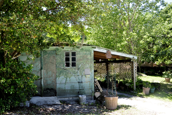 The Green House  at Solomon's Castle