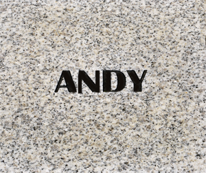 Andy Griffith stepping stone by the courthouse
