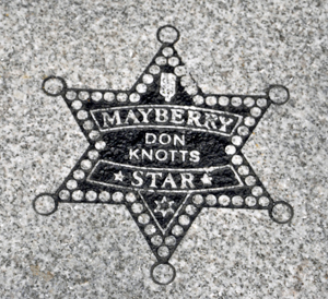 Don Knotts star