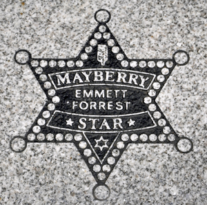 Emmett Forrest star