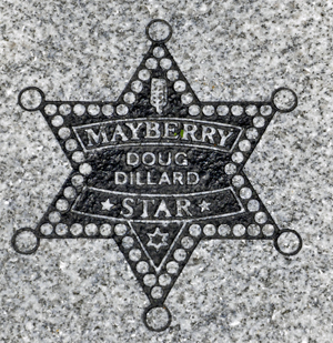 Doug Dillard star