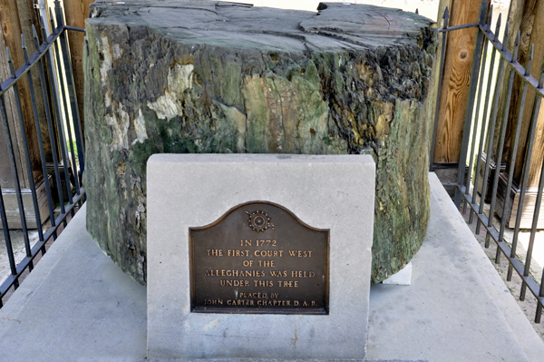 a historical tree stump 