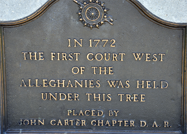 the plaque