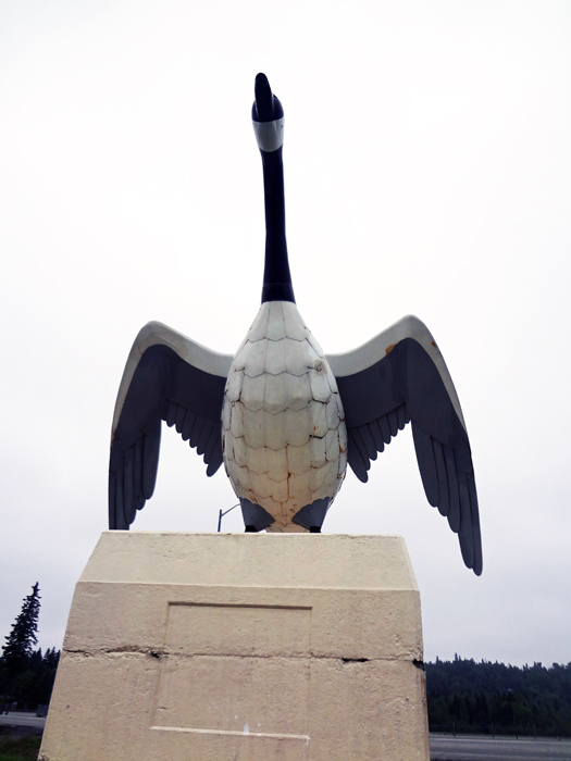the Wawa Goose