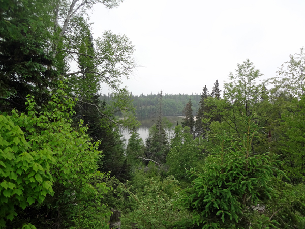 Magpie River and trees