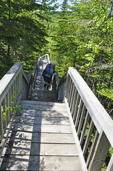 Lee Duquette on the staircase to Rainbow Falls