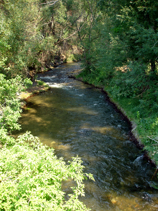 a mini waterfall along the river