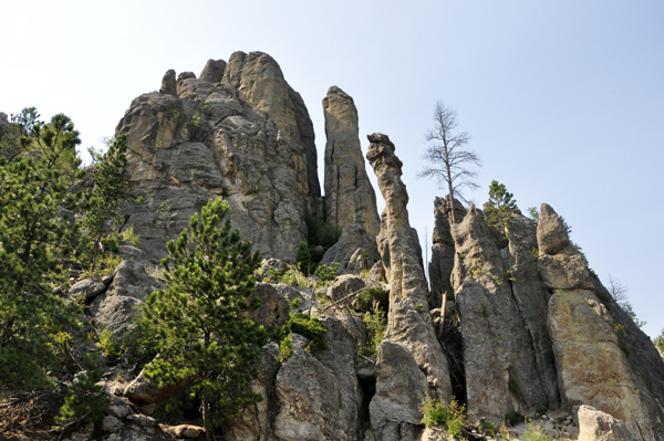 Slender granite formations called Needles dominate the skyline.