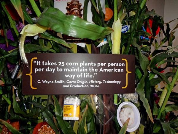 display of products containing corn