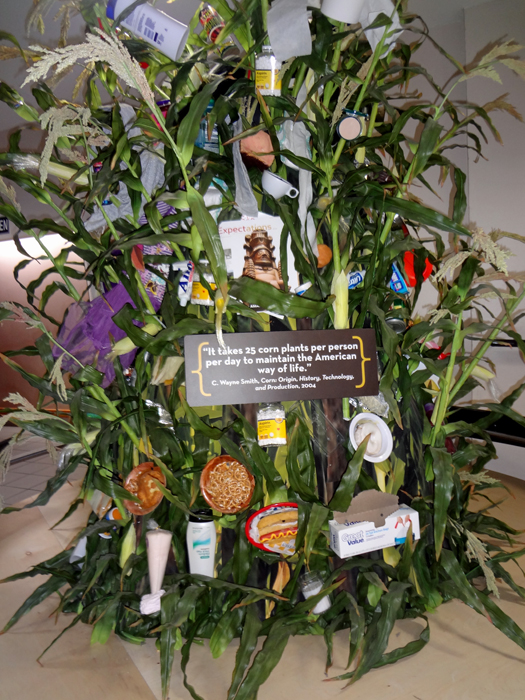display of products containing corn