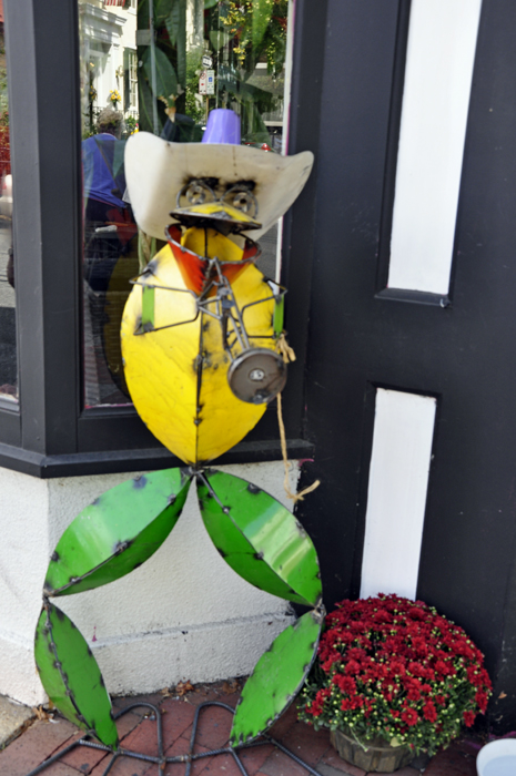 flute playing cowboy frog