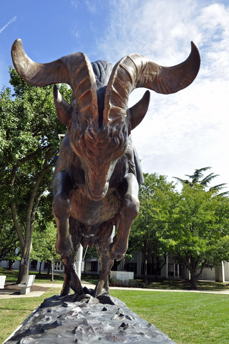 Bill the Goat - mascot