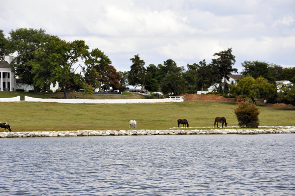A HORSE FARM ON THE MAGOTHY RIVER