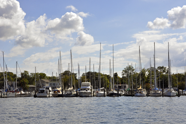 Lots of sailboats