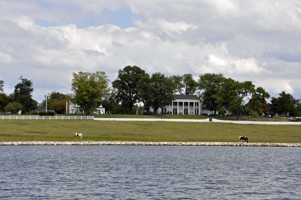 A HORSE FARM ON THE MAGOTHY RIVER