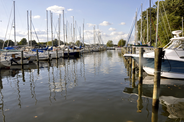 sailboats