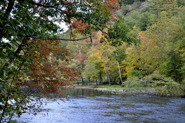 fall colors on the river by the KOA