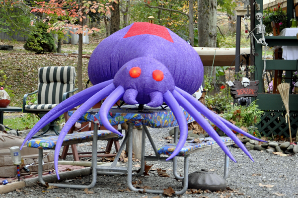Halloween spider