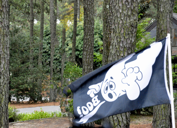 Halloween flag