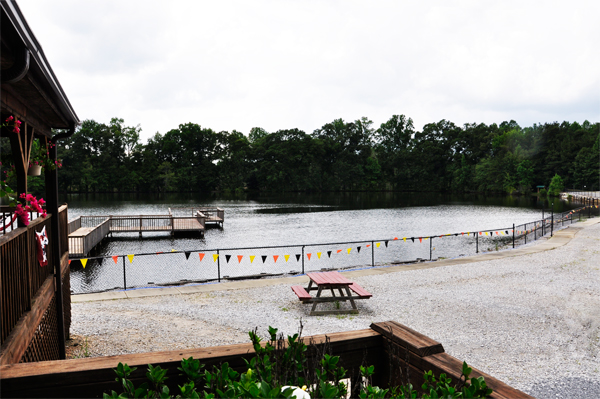 view of the pond