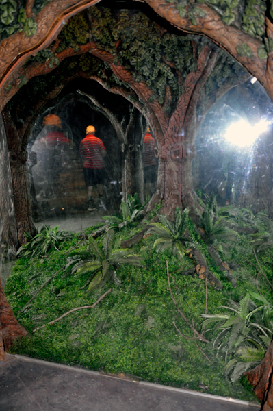castle arches and woodland tree branches