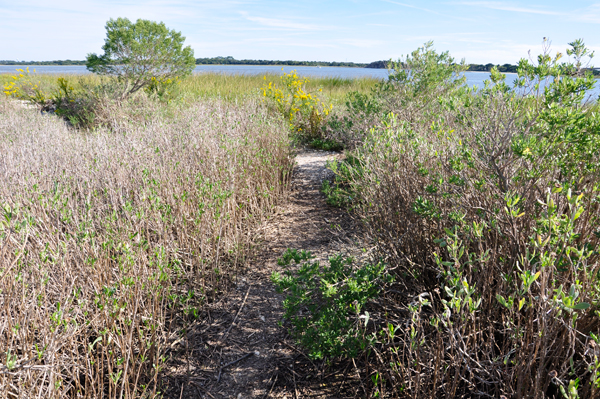 the hiking path