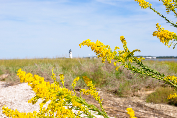 Cockspur Island Lighthouse