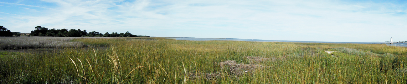 panorama and Cockspur Island Lighthouse